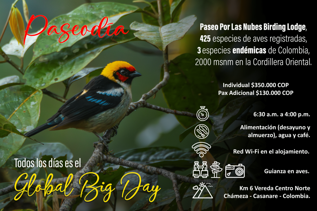 Plan PaseoDía