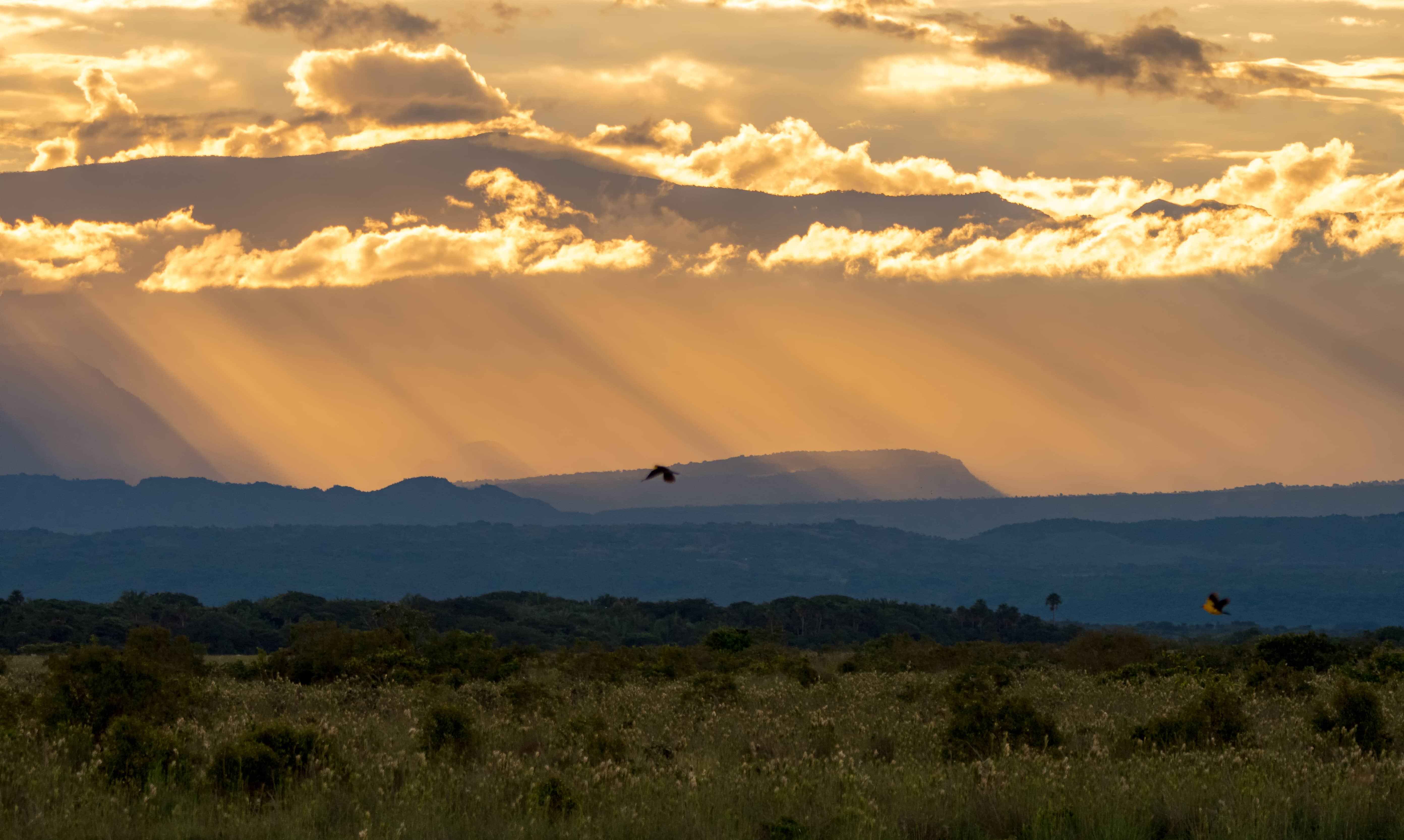 Casanare Vuela